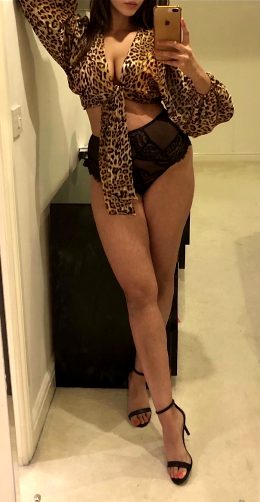 A Lady On The Streets, An Animal Under The Sheets…😈🐆 British Punjabi Indian